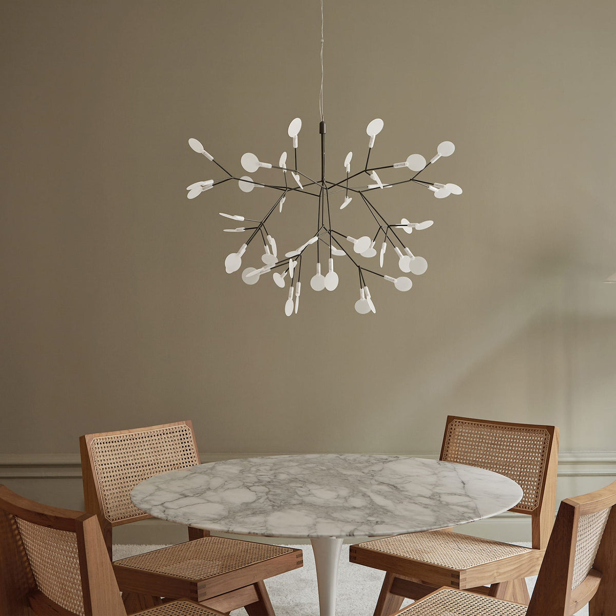 Heracleum Chandelier - view 21