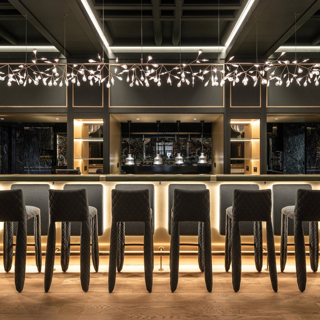Heracleum Chandelier - view 11