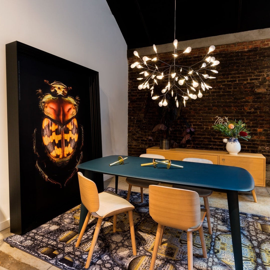 Heracleum Chandelier - view 3