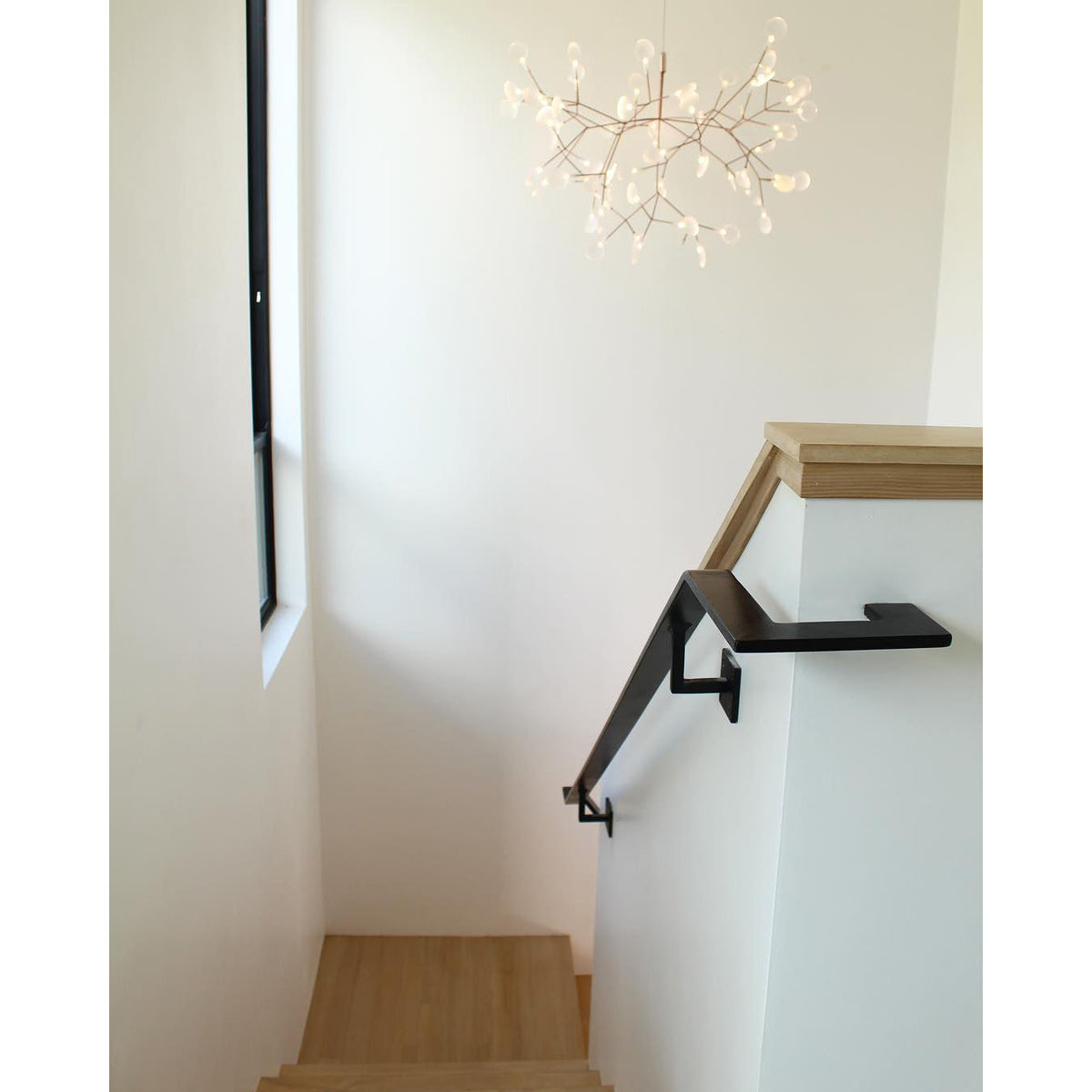 Heracleum Chandelier - view 42