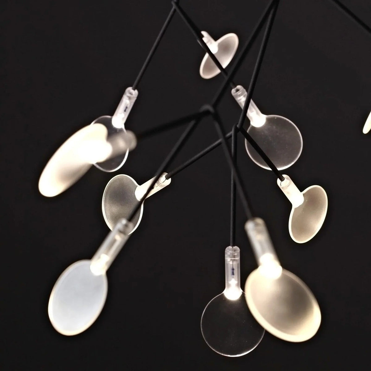 Heracleum Chandelier - view 43
