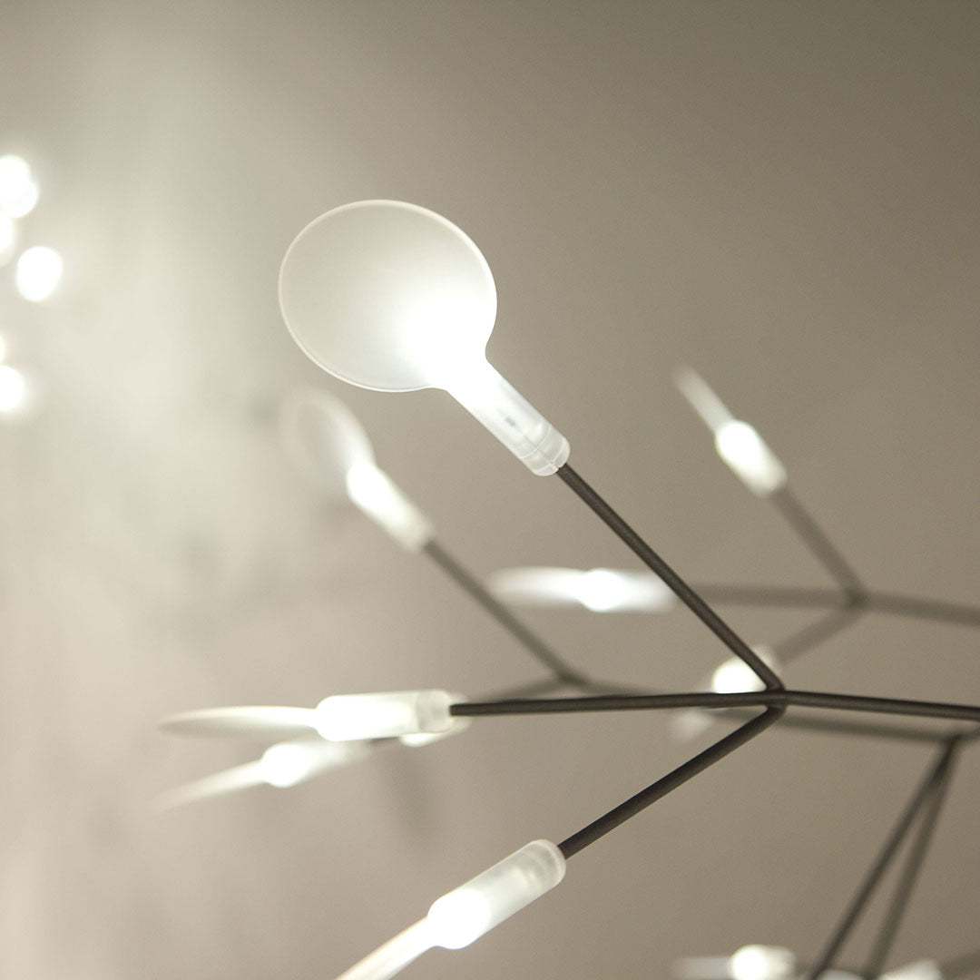 Heracleum Chandelier - view 44