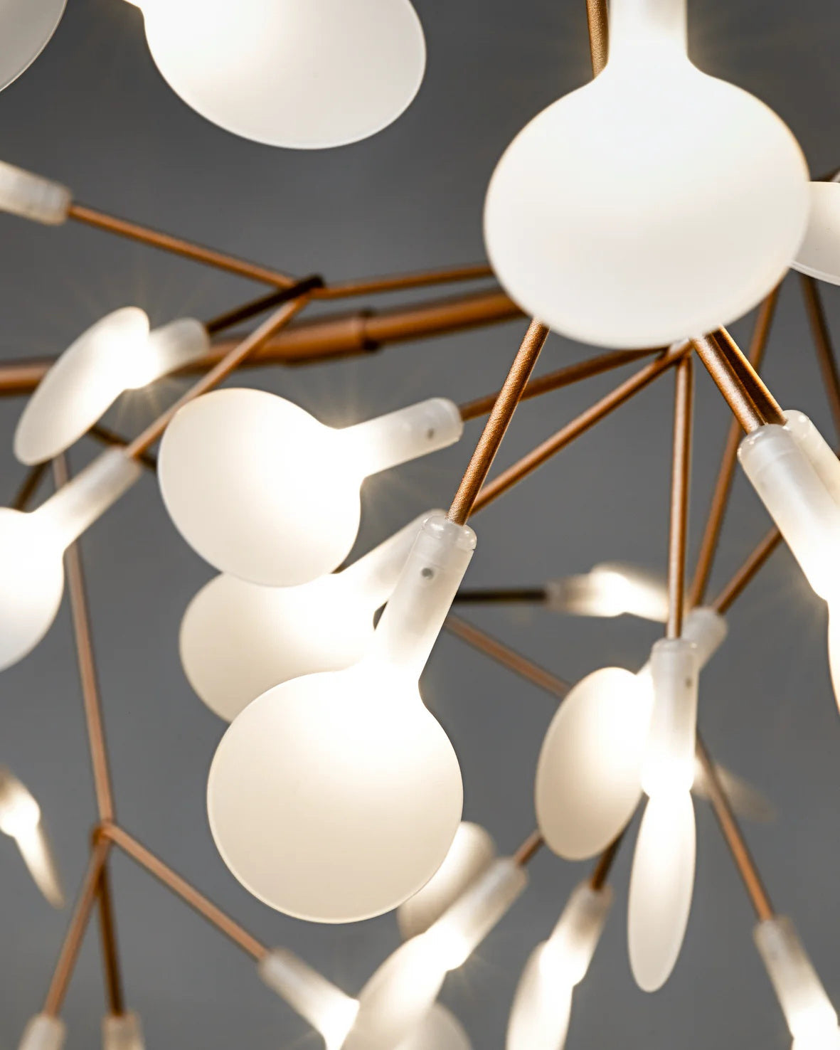Heracleum Chandelier - view 45