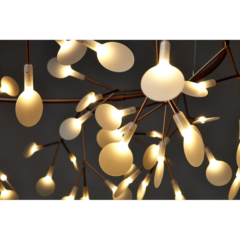 Heracleum Chandelier - view 46