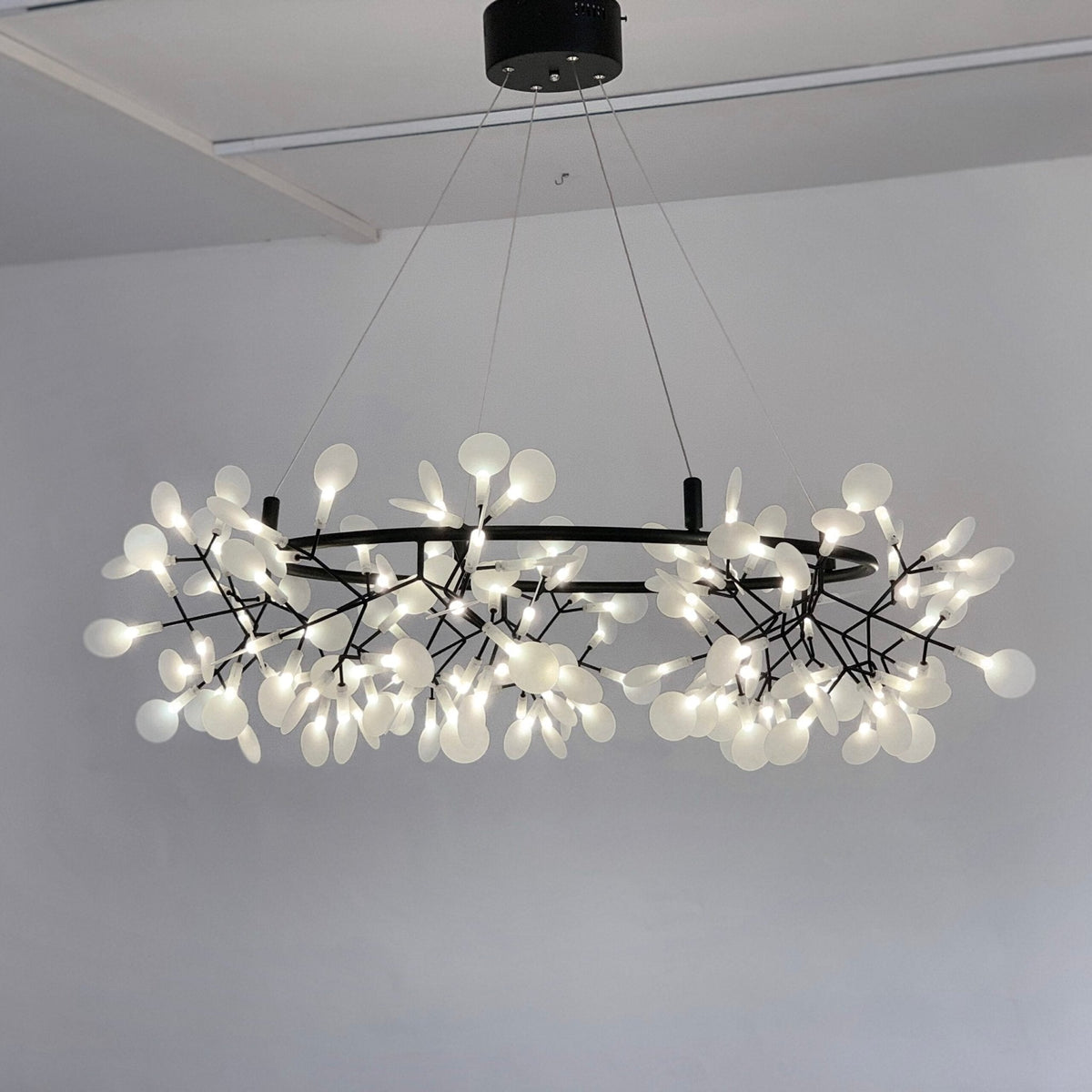 Heracleum Round Chandelier - view 28