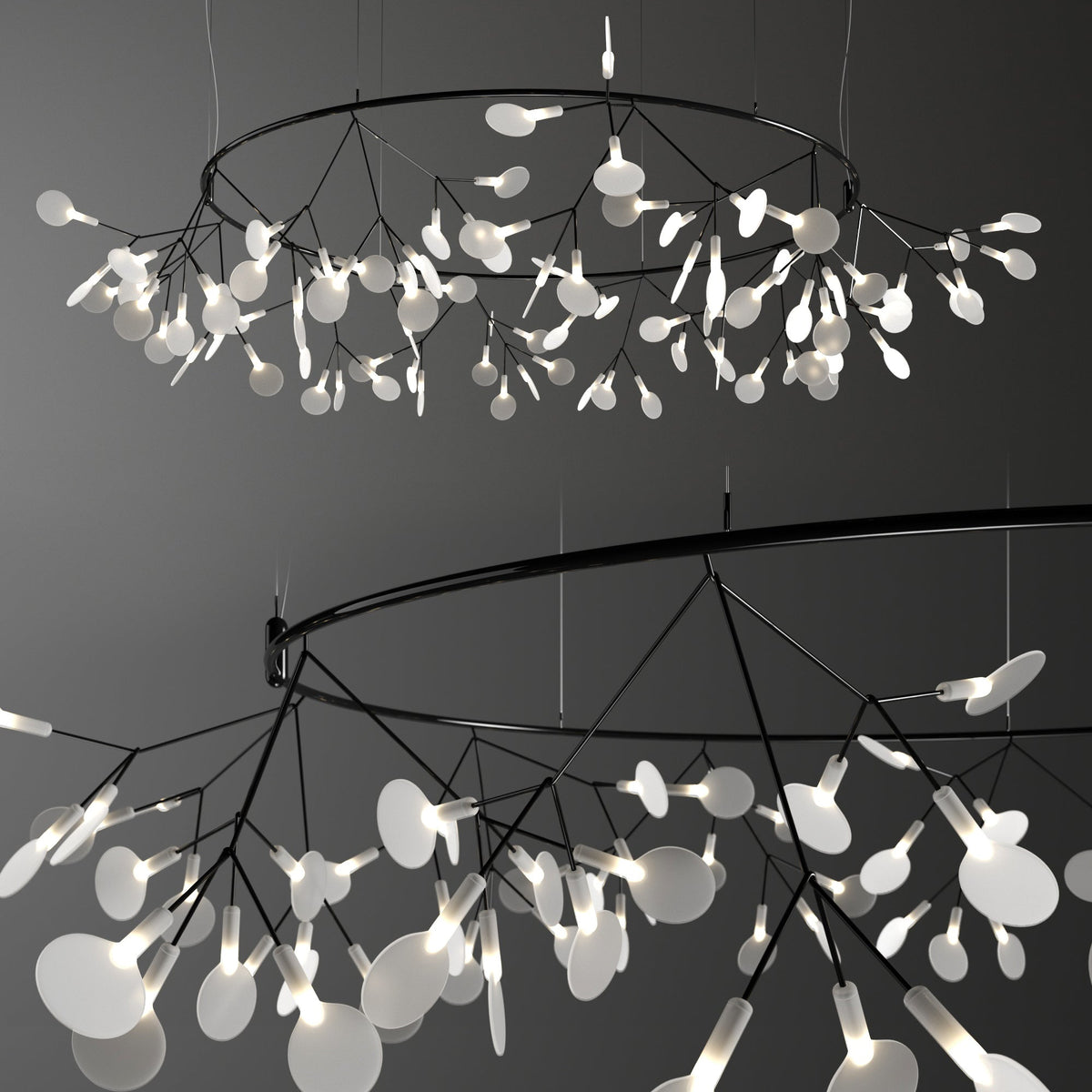 Heracleum Round Chandelier - view 29