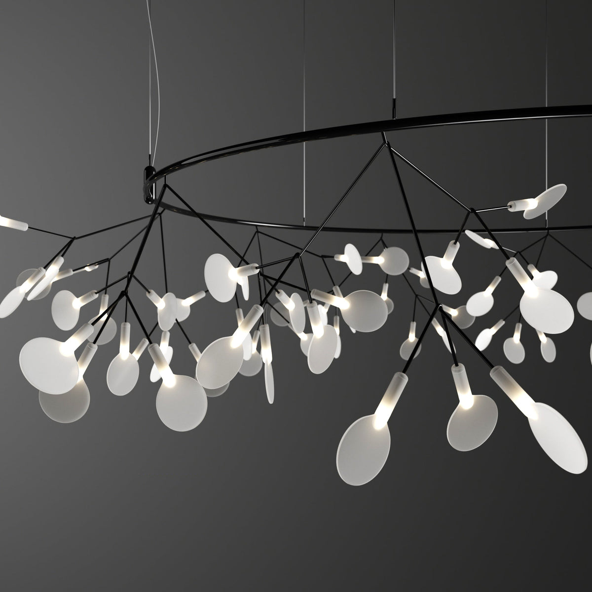 Heracleum Round Chandelier - view 30