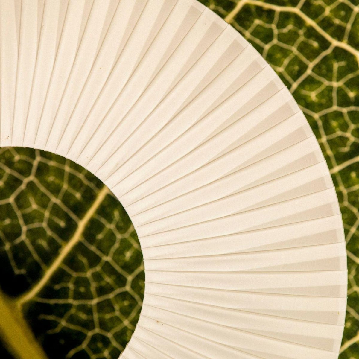 Vespera Floor Lamp - view 32