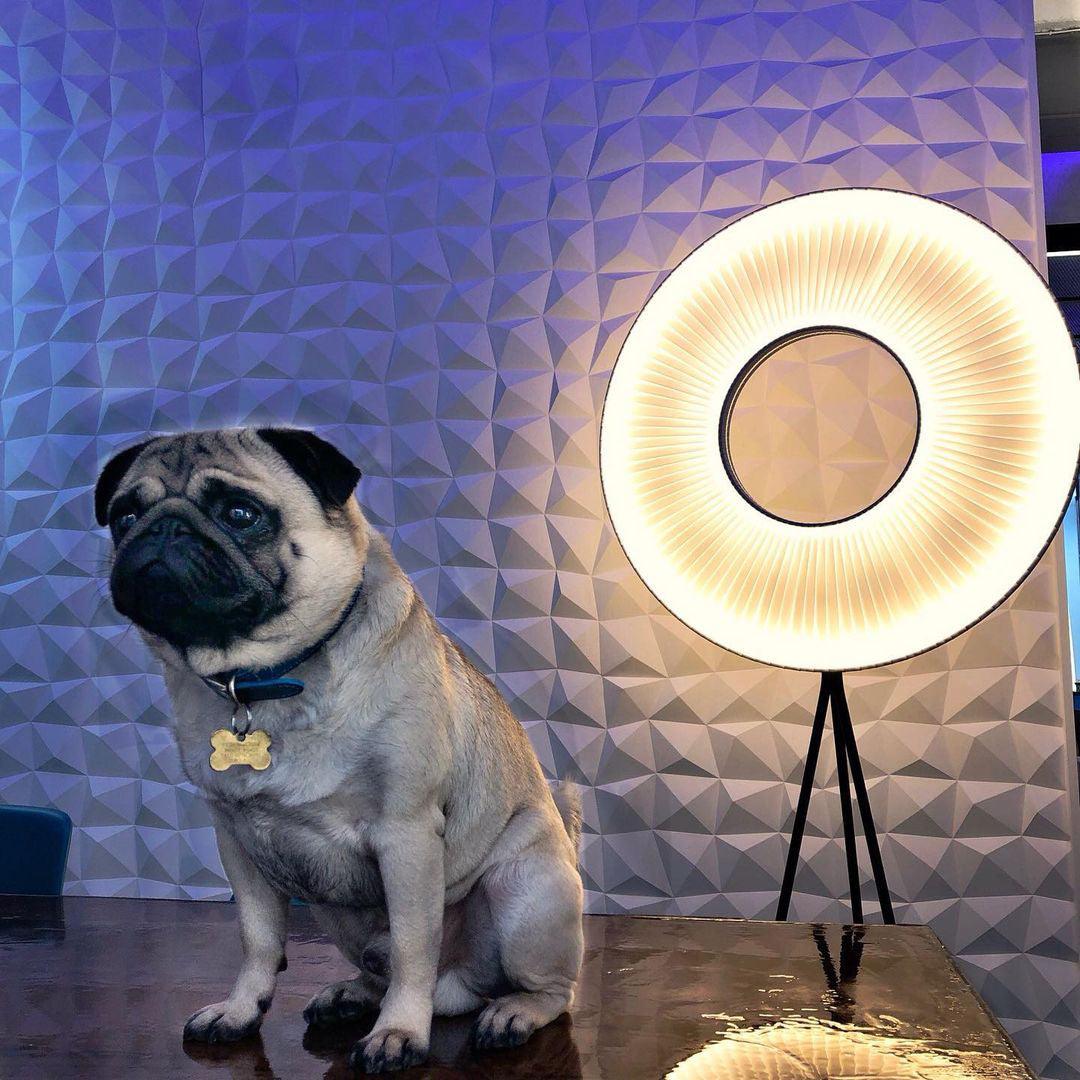 Vespera Floor Lamp - view 46