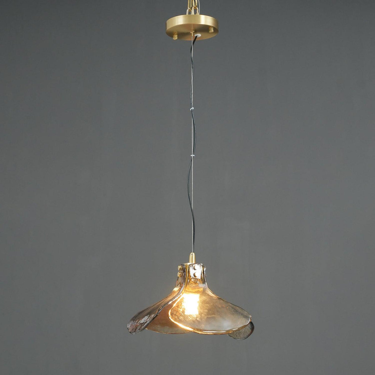 LS185 Pendant Lamp - view 14