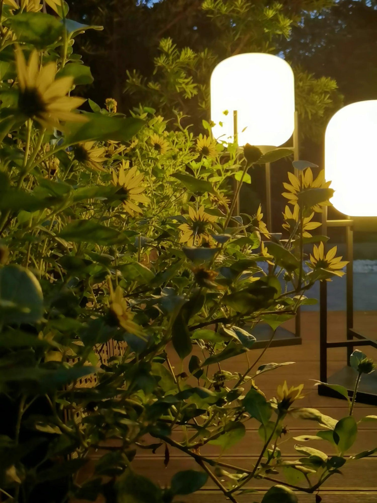 Lantern Outdoor Floor Lamp