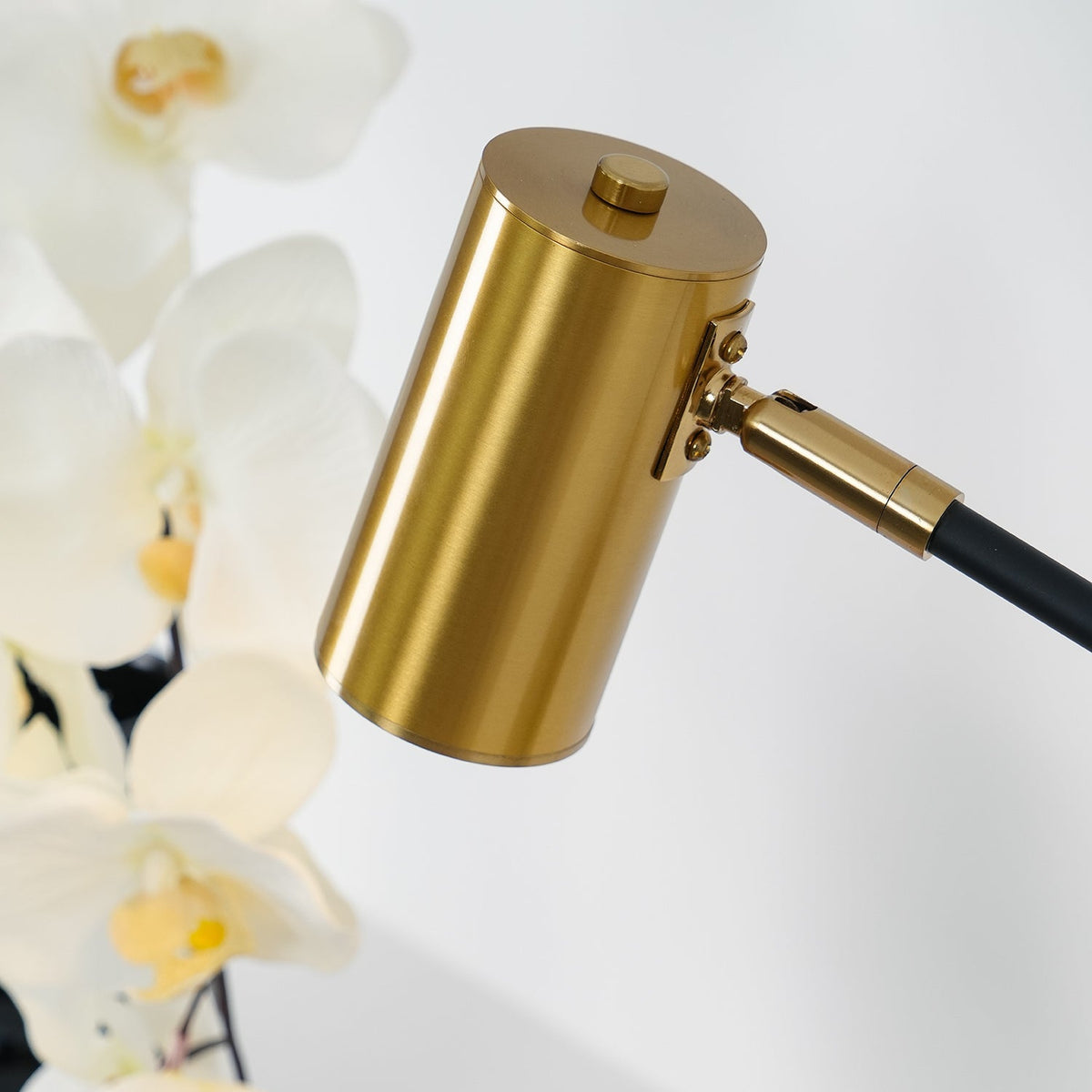 Lektor Table Lamp - view 52