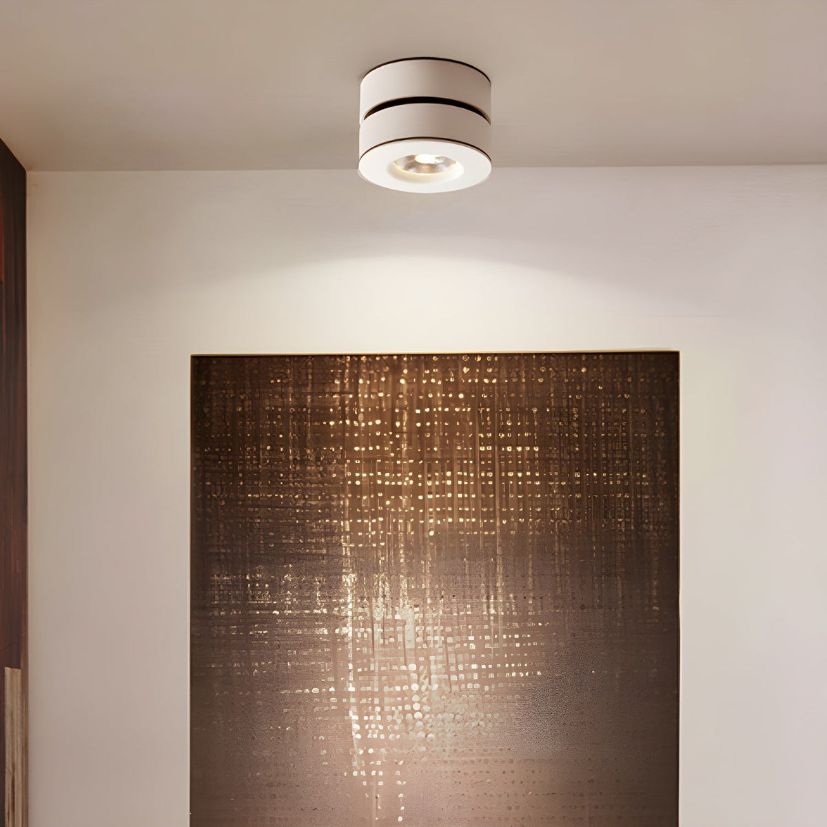 Lyric Adjustable Surface Downlight - view 3