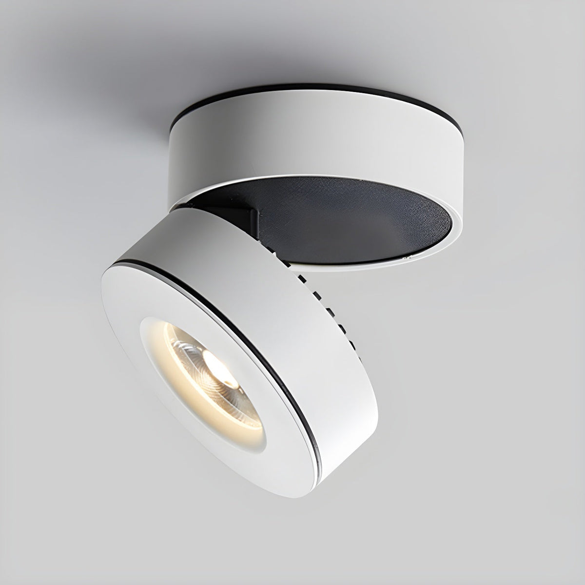 Lyric Adjustable Surface Downlight - view 10