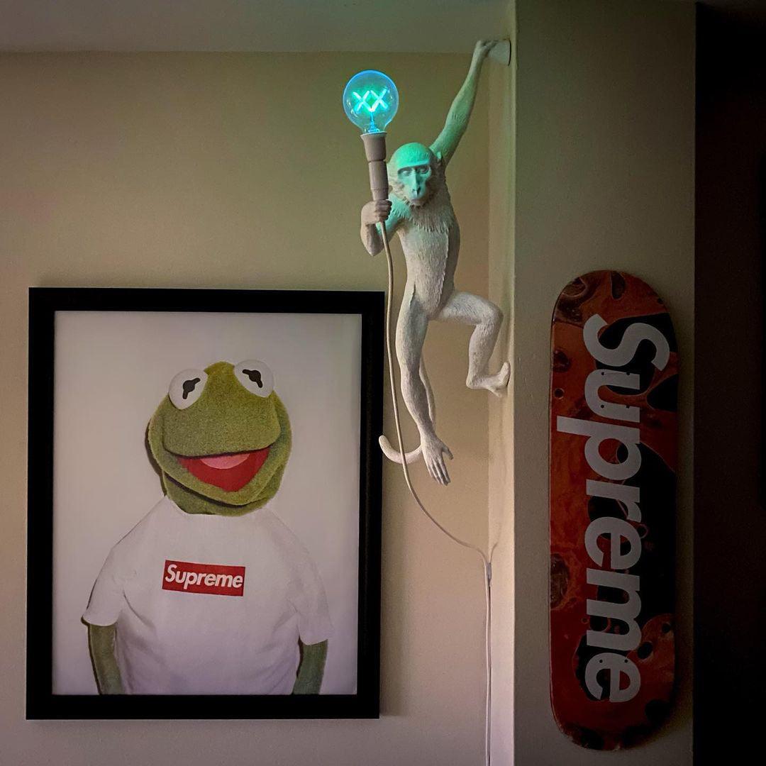 Monkey Wall Lamp - view 24