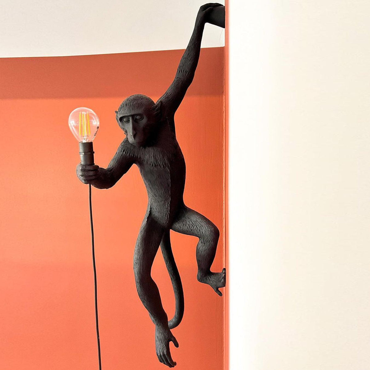 Monkey Wall Lamp - view 33