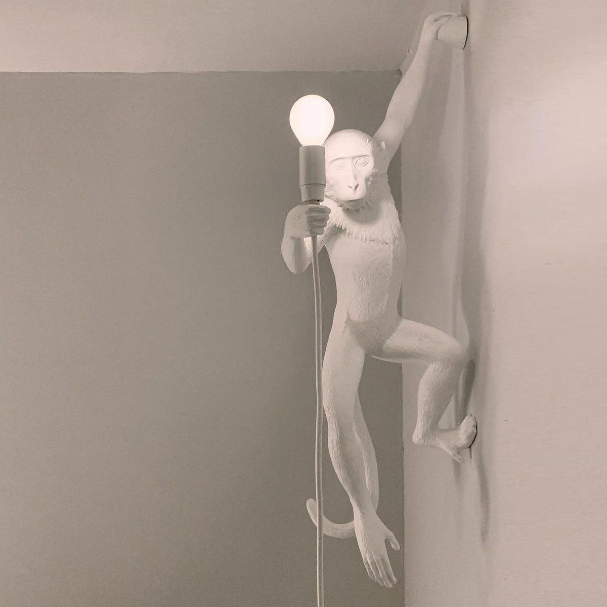 Monkey Wall Lamp - view 3