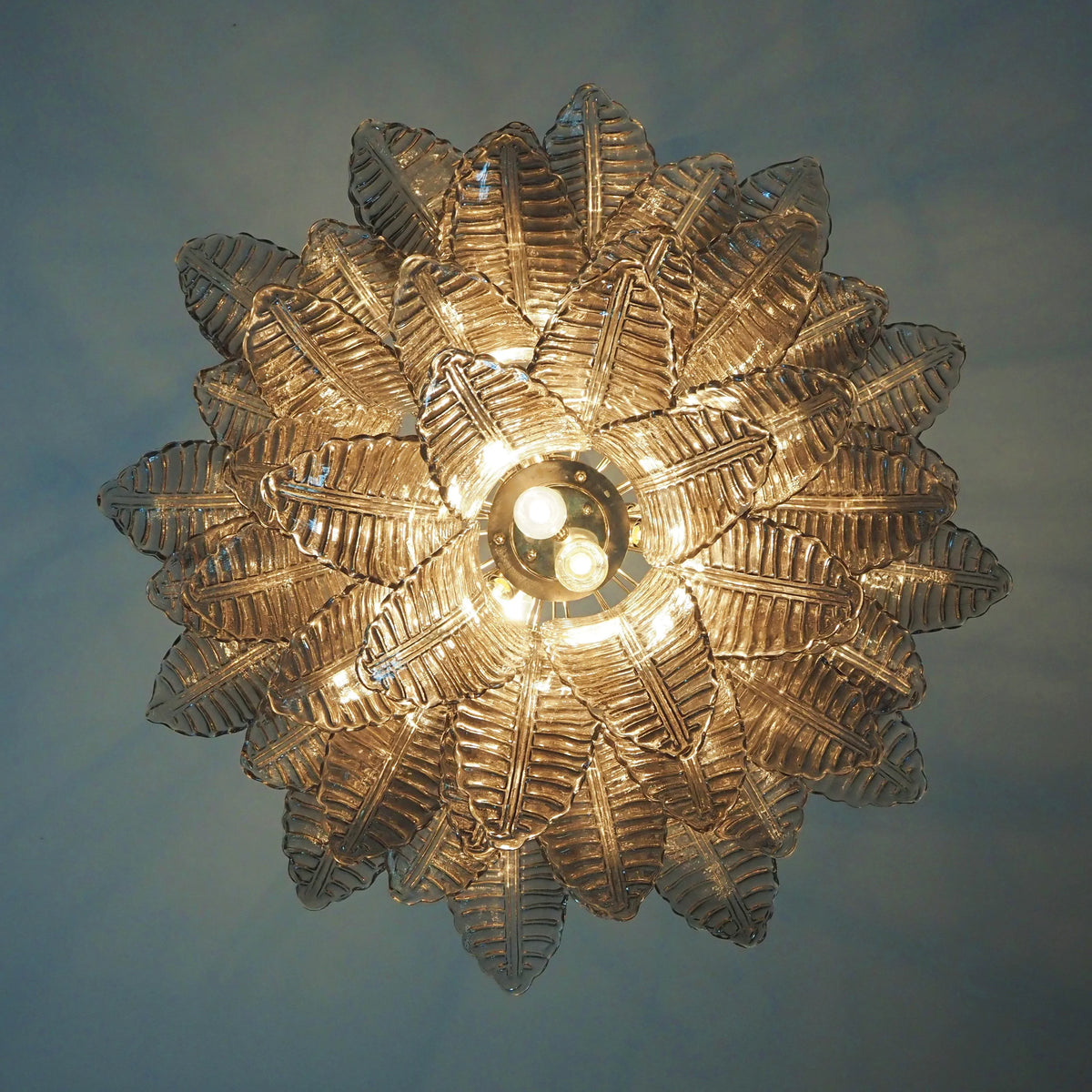 Murano Smoked Ferns Glass Chandelier - view 14
