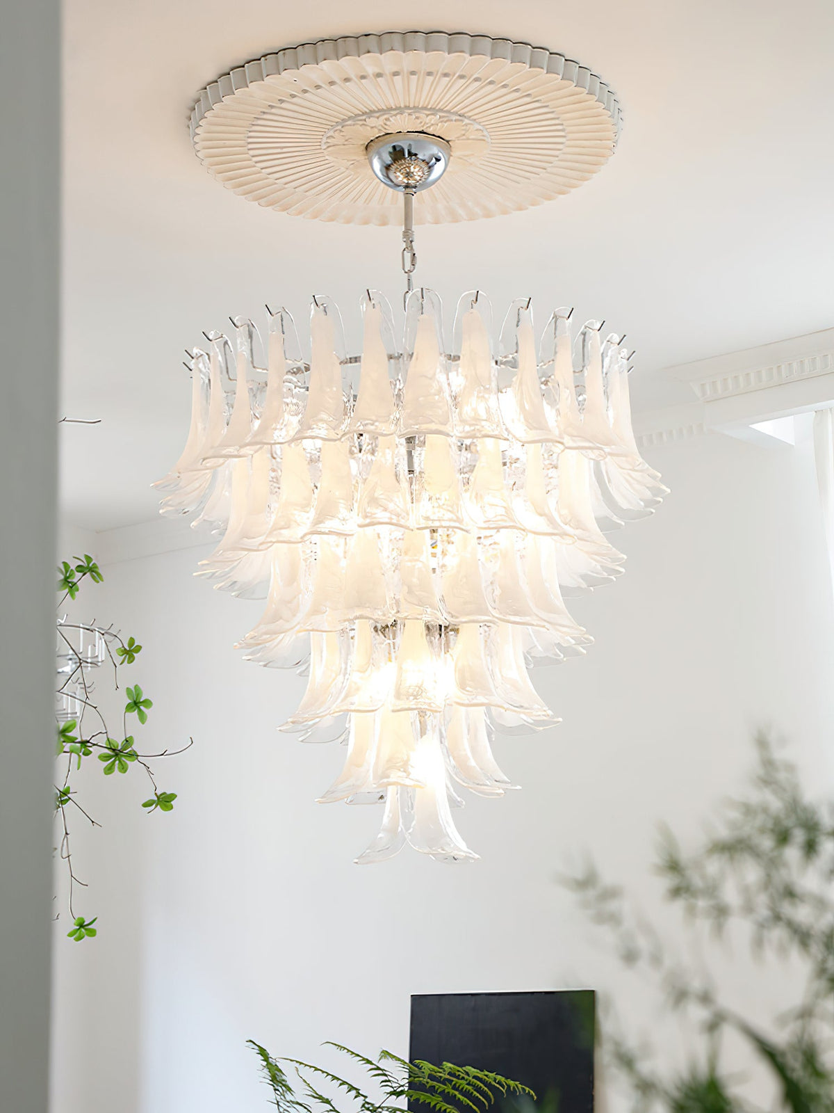 Murano Chandelier - view 29