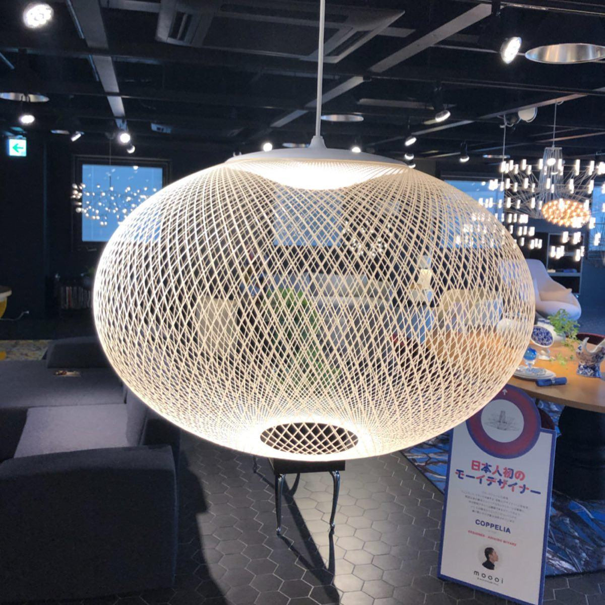 Metallic Meshwork Pendant Lamp - view 27