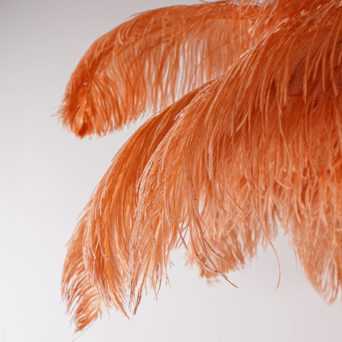 Ostrich Feather Brass Floor Lamp - view 137