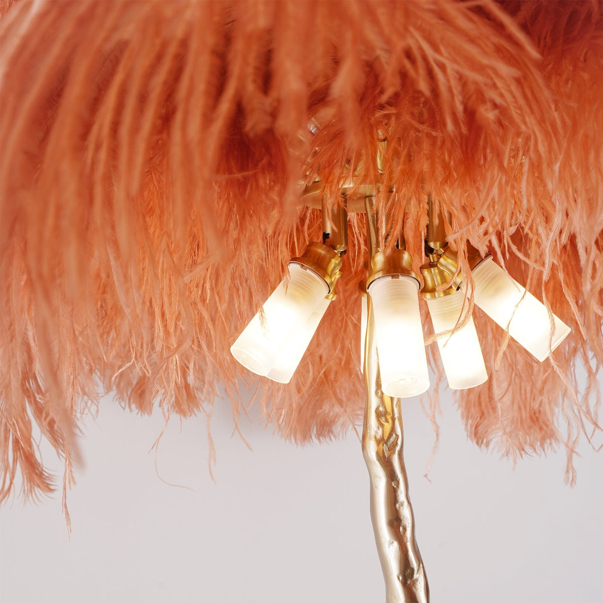 Ostrich Feather Brass Floor Lamp - view 138