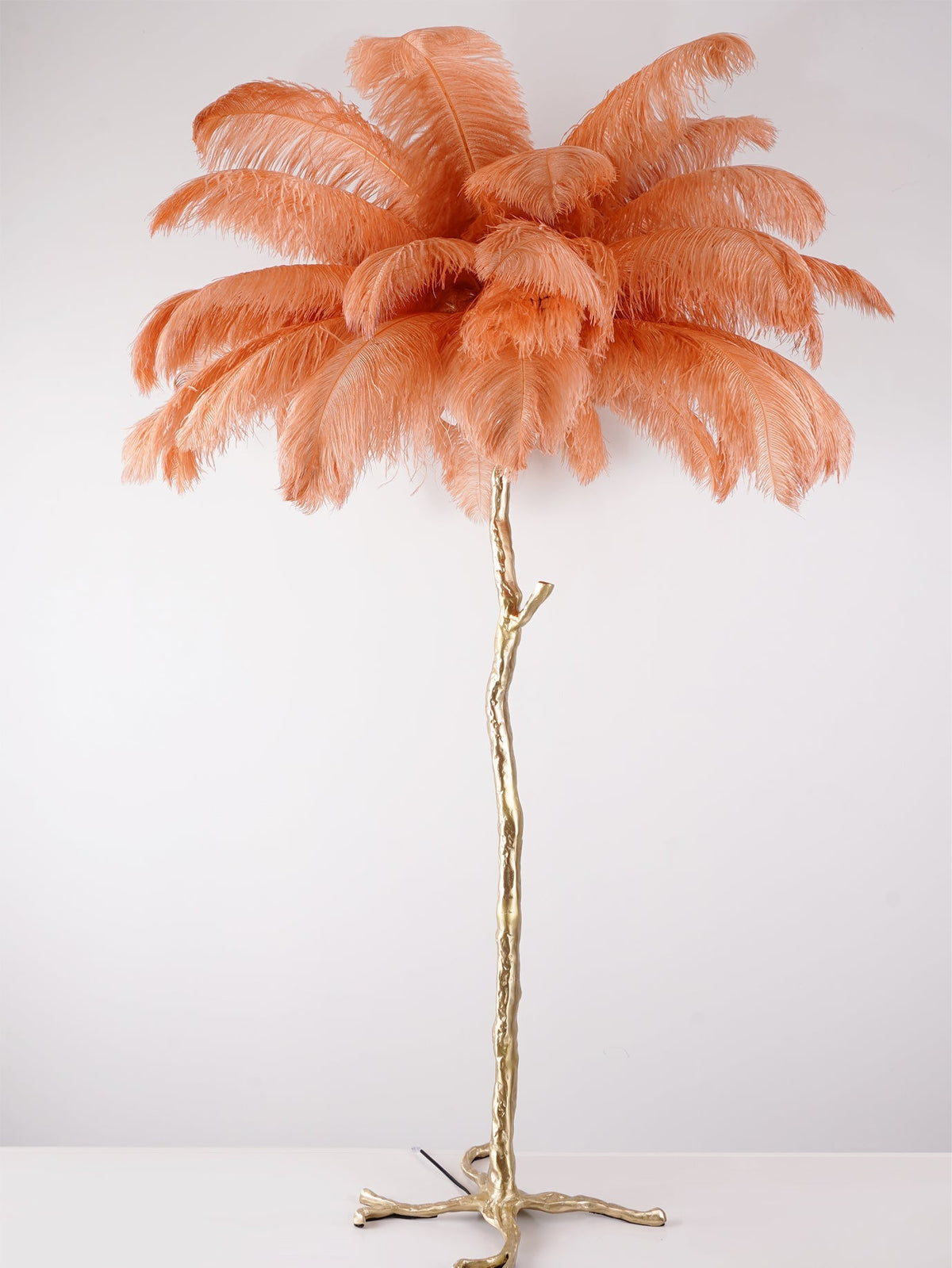 Ostrich Feather Brass Floor Lamp - view 139