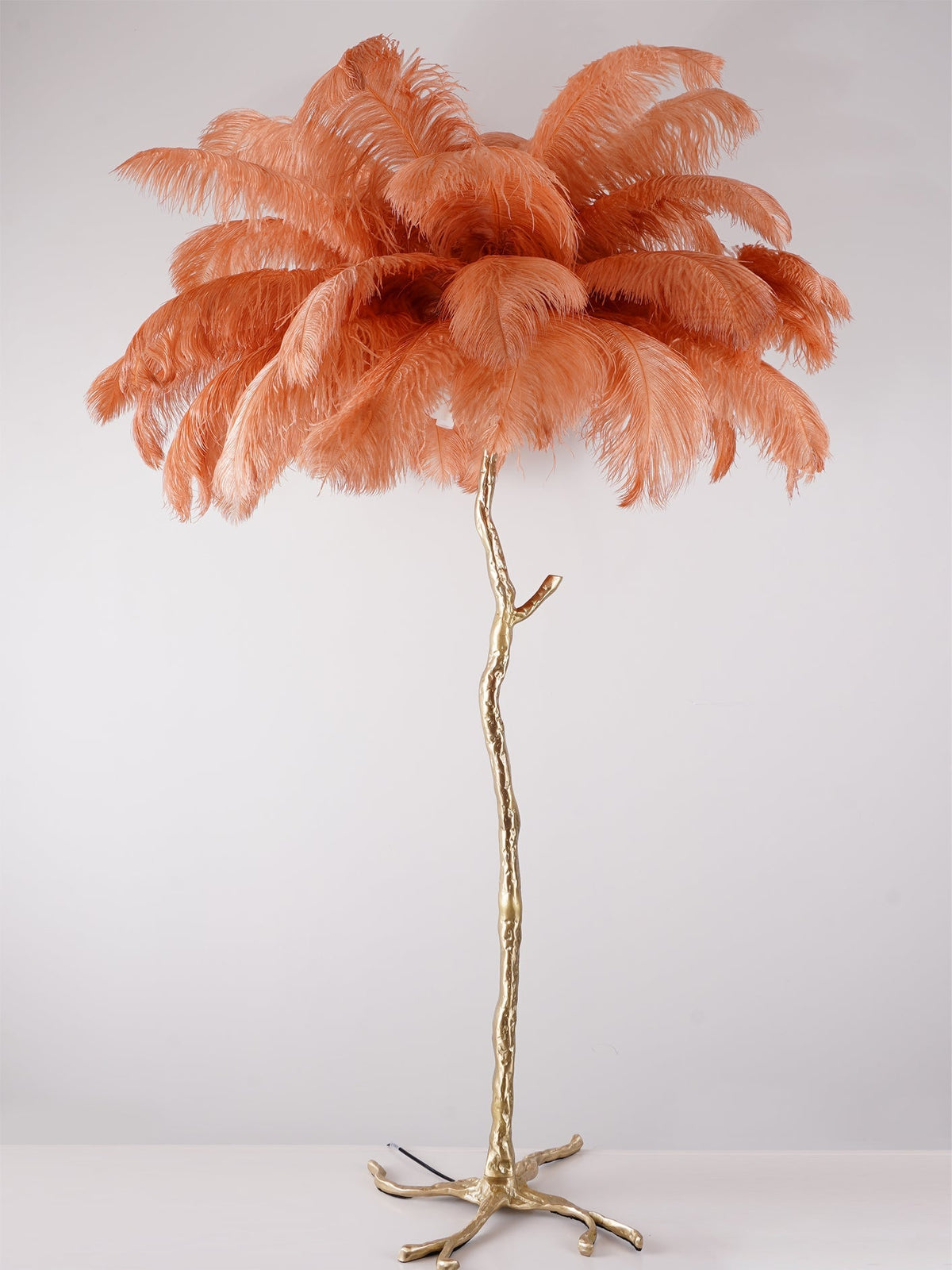 Ostrich Feather Brass Floor Lamp - view 140
