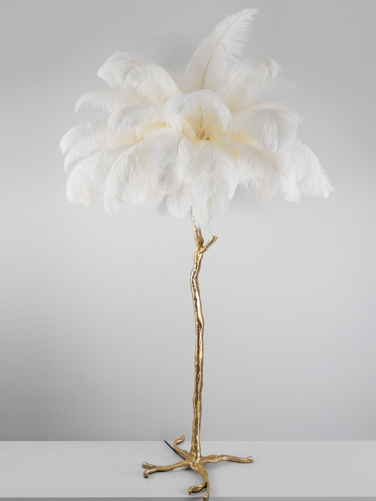 Ostrich Feather Brass Floor Lamp - view 135