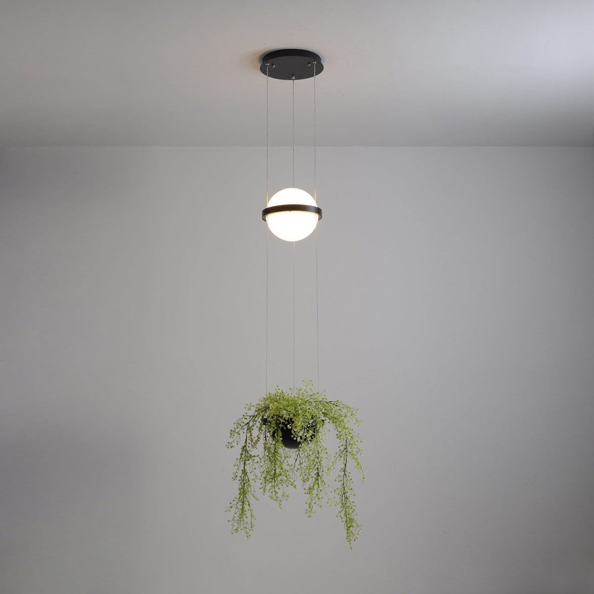 Palma Pendant Lamp - view 48