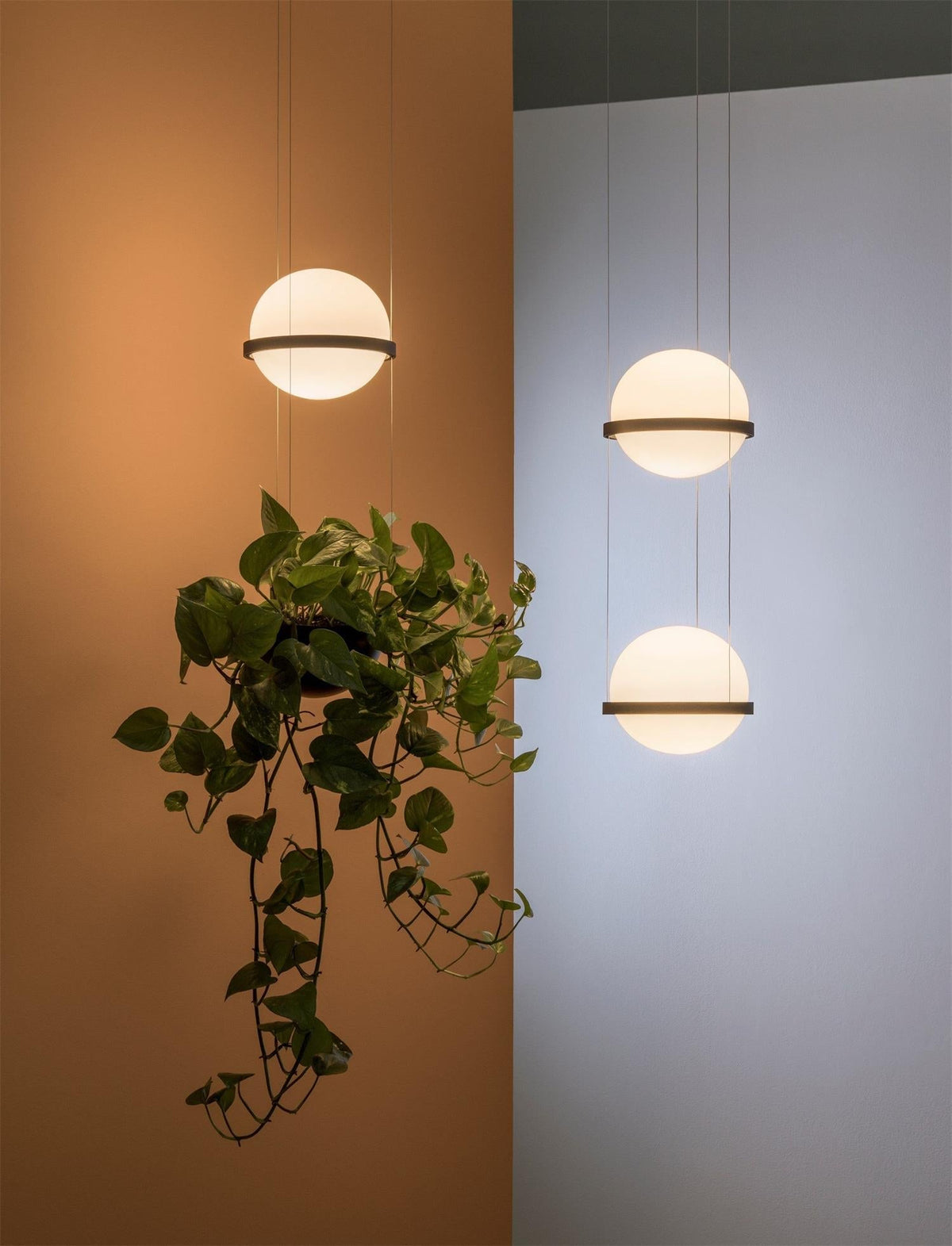 Palma Pendant Lamp - view 36