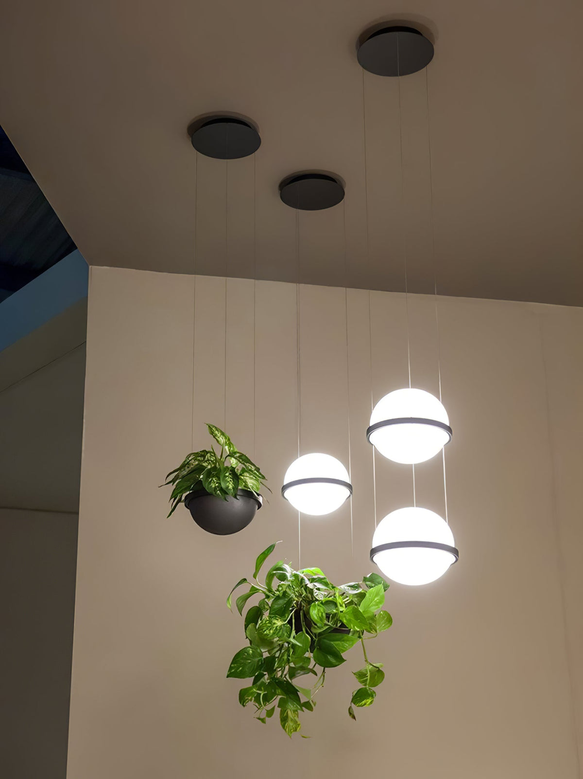 Palma Pendant Lamp - view 35
