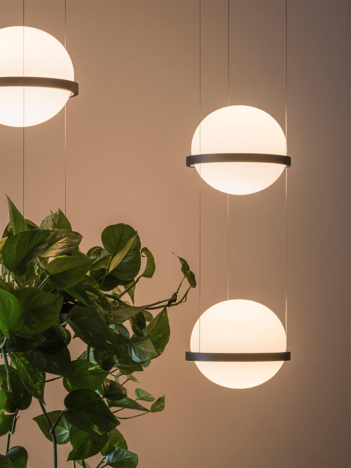 Palma Pendant Lamp - view 39