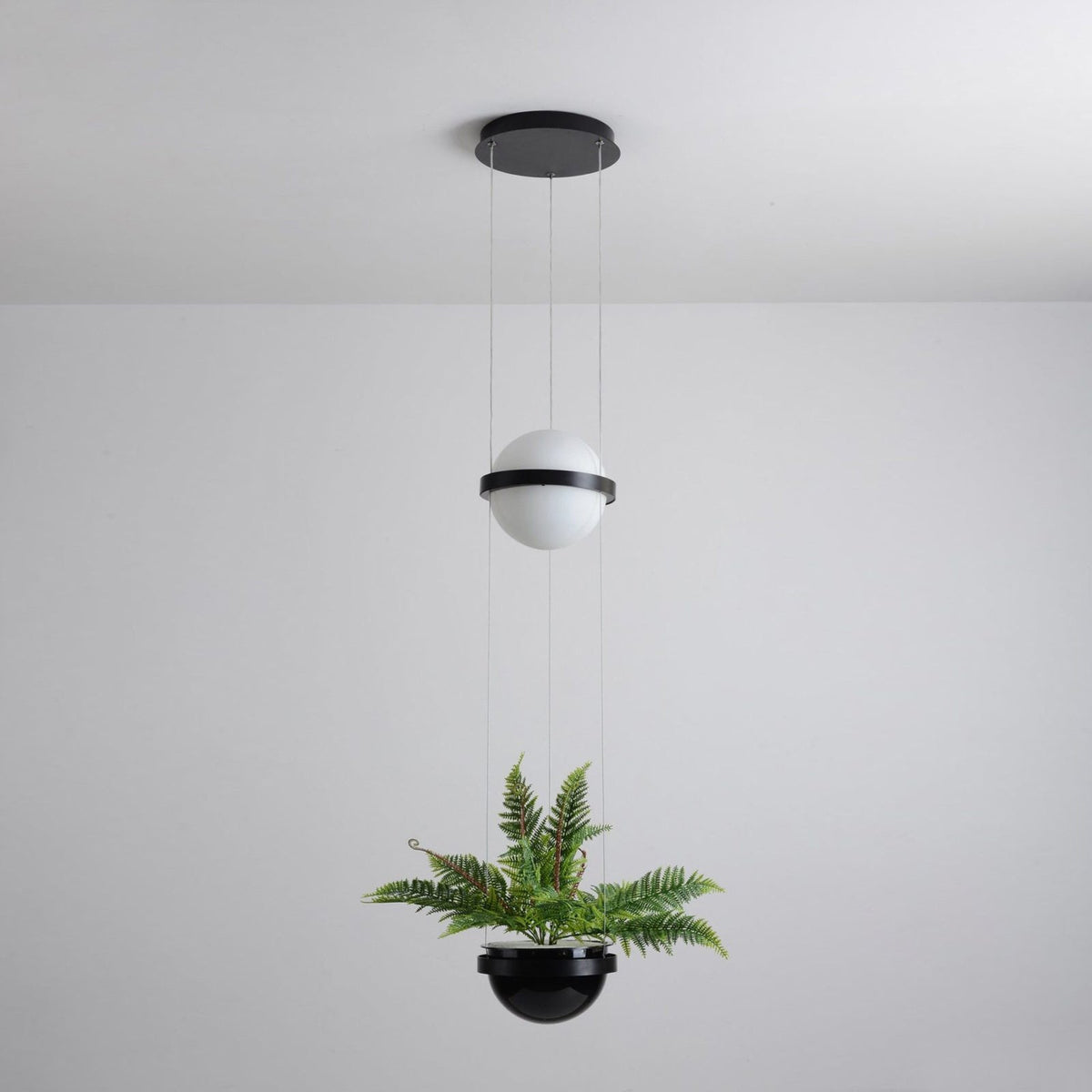 Palma Pendant Lamp - view 58