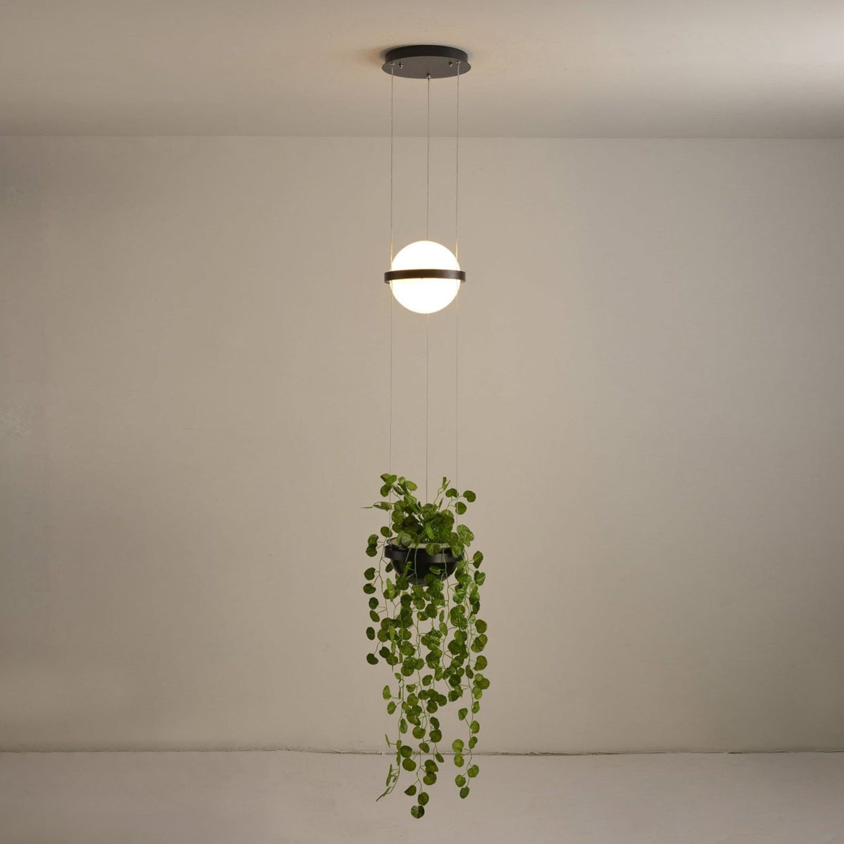 Palma Pendant Lamp - view 49
