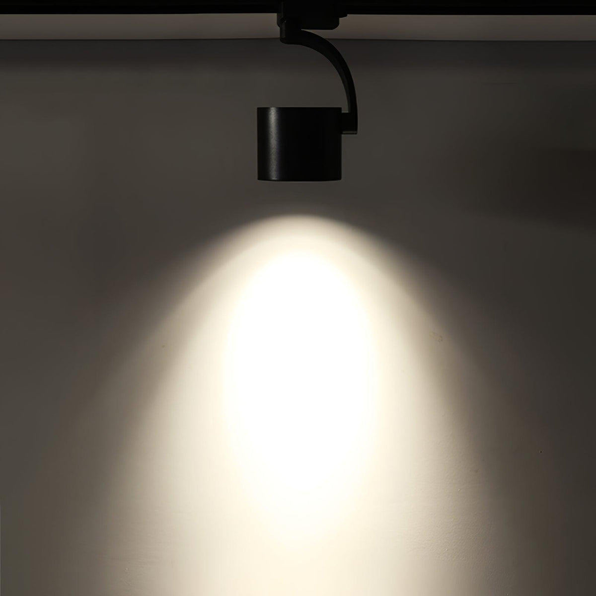 Paloma Ceiling Light