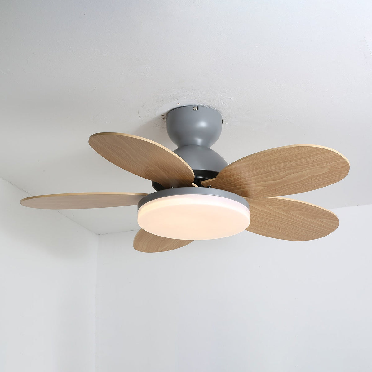 Petalo Ceiling Fan Light - view 3