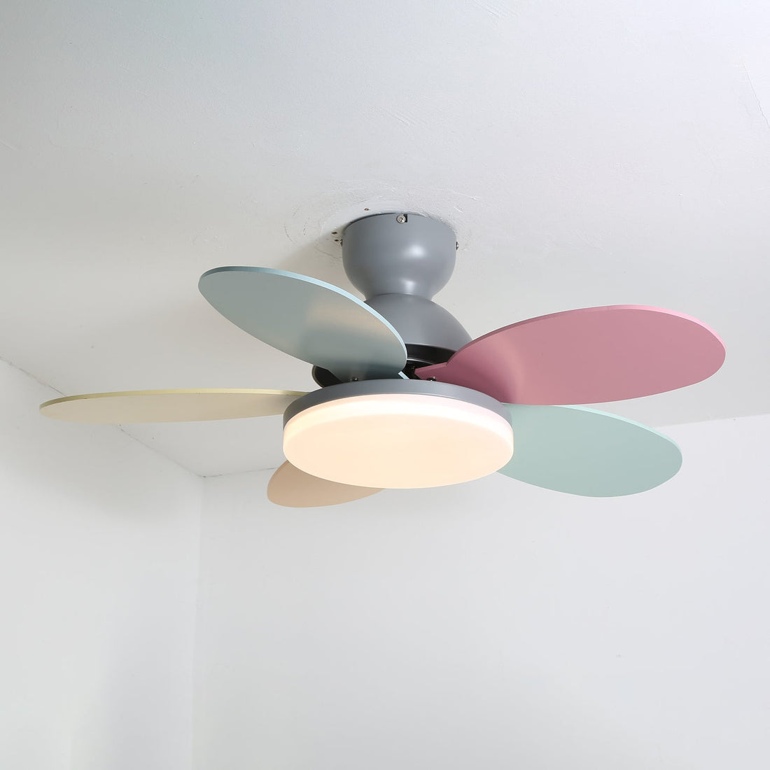 Petalo Ceiling Fan Light