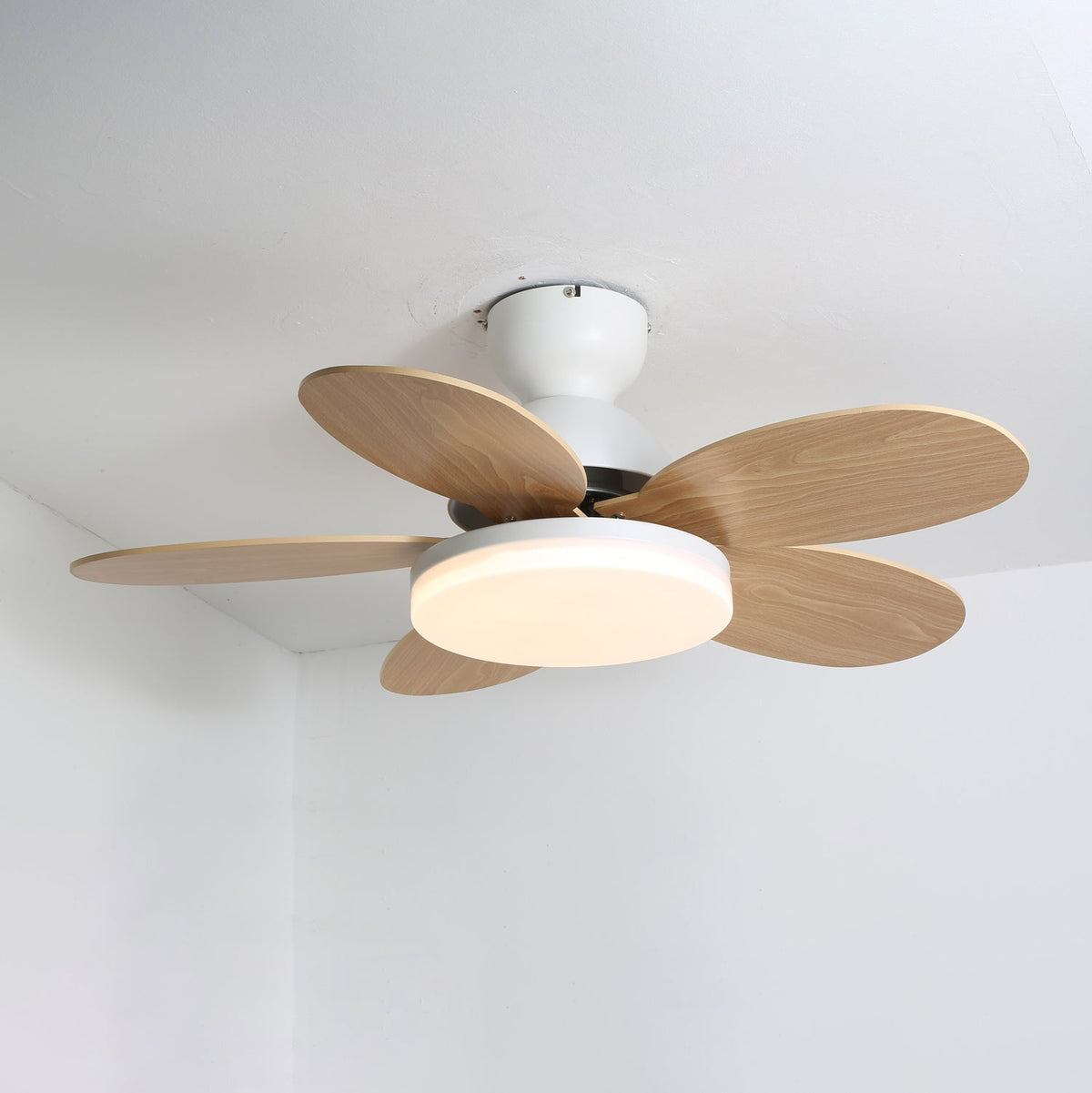 Petalo Ceiling Fan Light - view 8