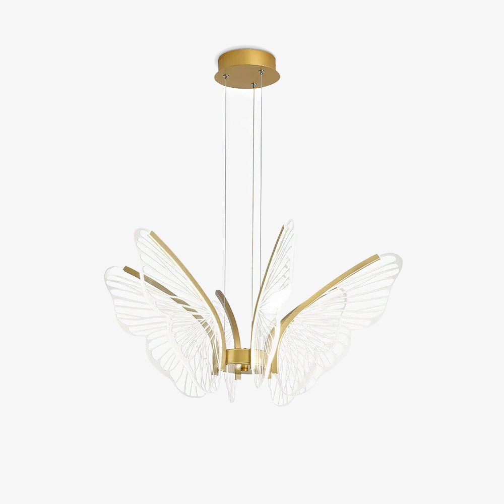 Phalaenopsis Chandelier - view 31