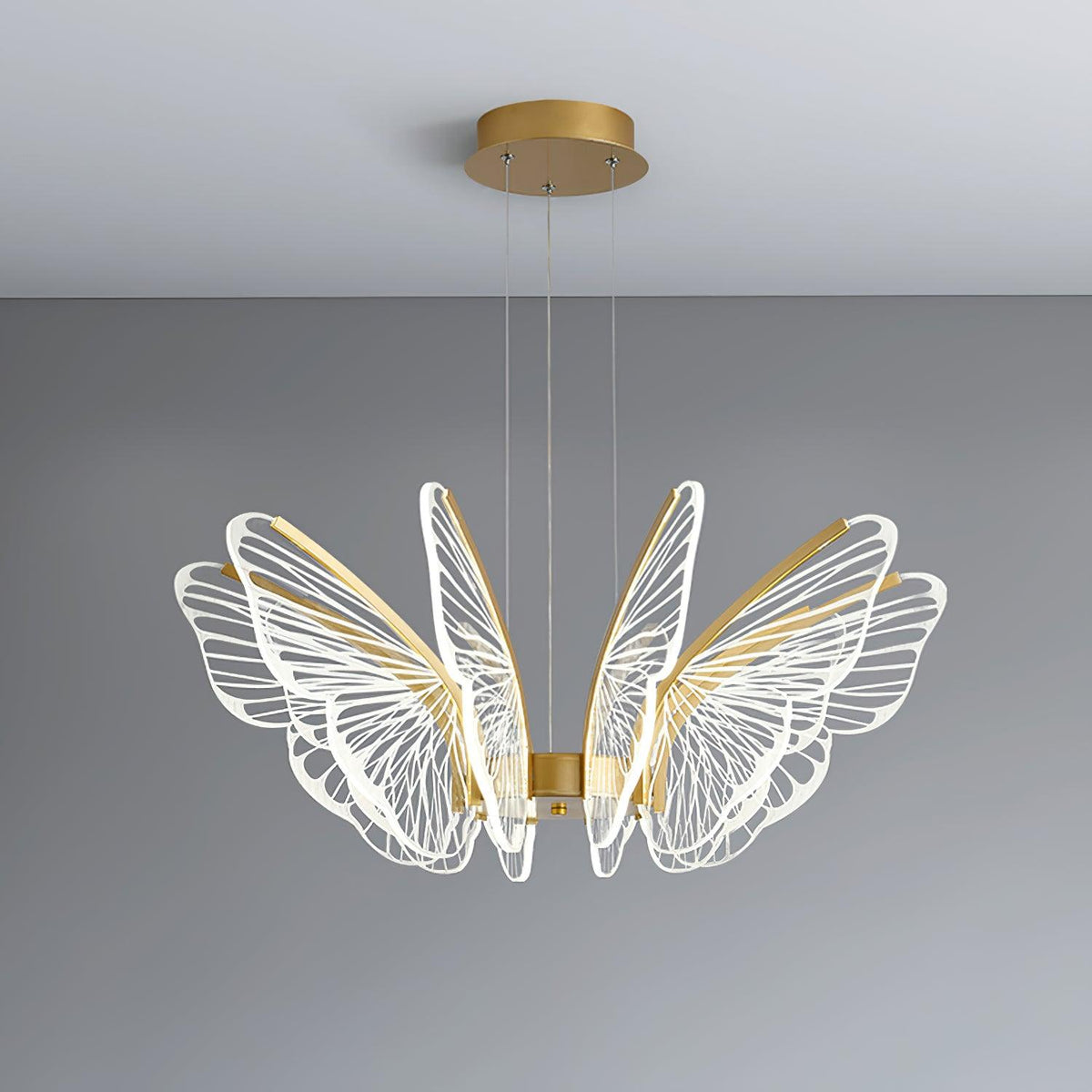 Phalaenopsis Chandelier - view 7