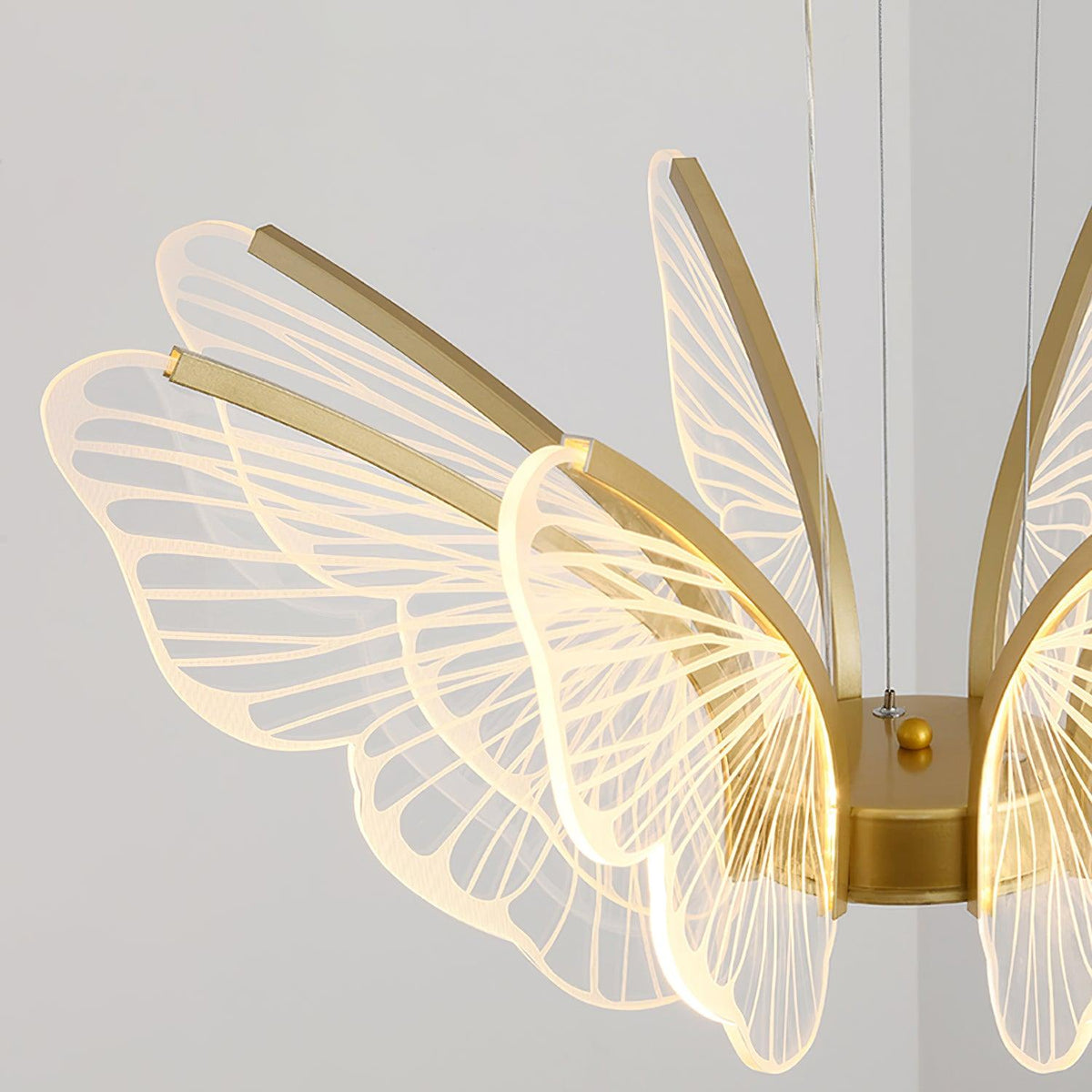 Phalaenopsis Chandelier - view 14