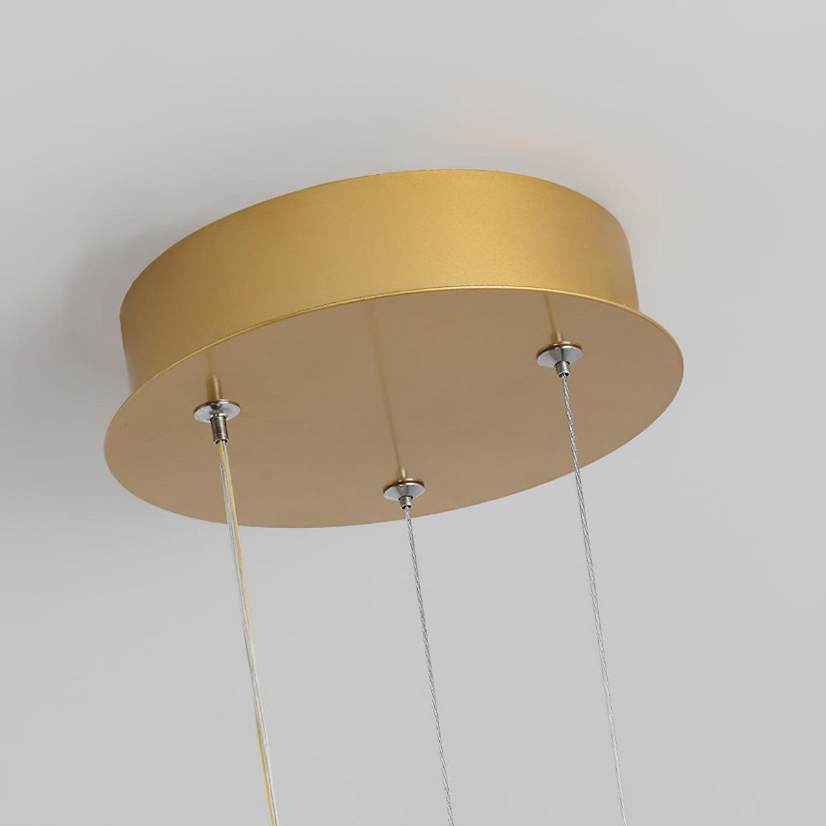 Phalaenopsis Chandelier - view 11