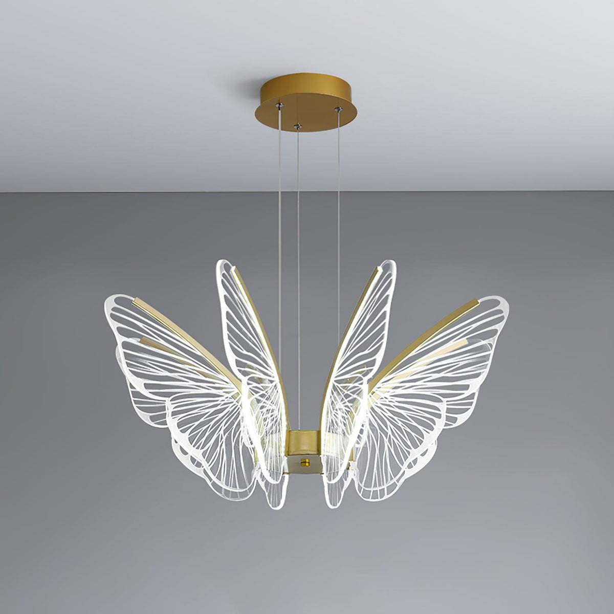 Phalaenopsis Chandelier - view 17