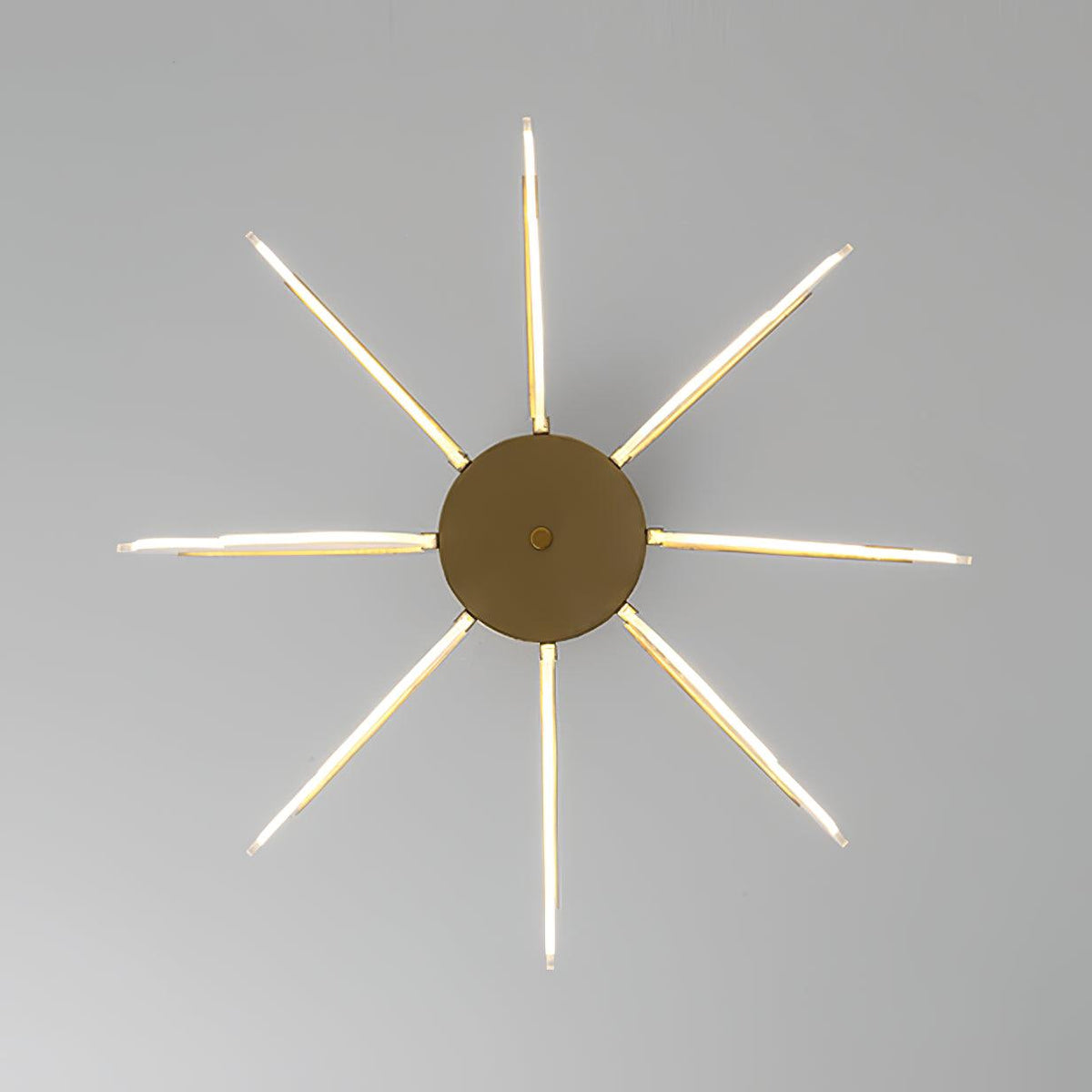 Phalaenopsis Chandelier - view 15