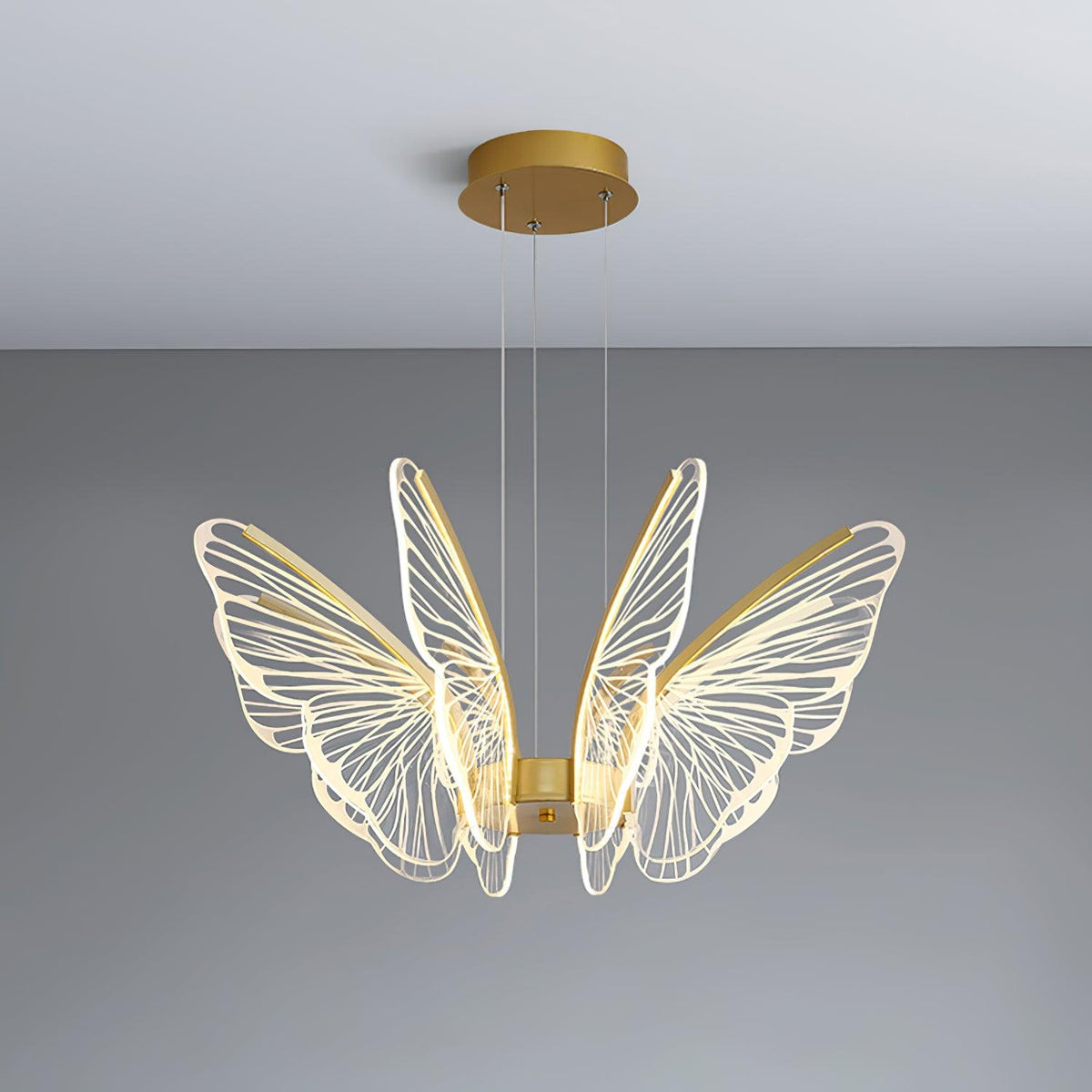 Phalaenopsis Chandelier - view 18