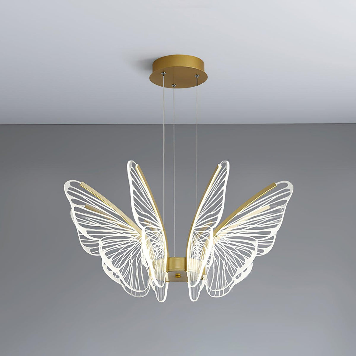 Phalaenopsis Chandelier - view 20