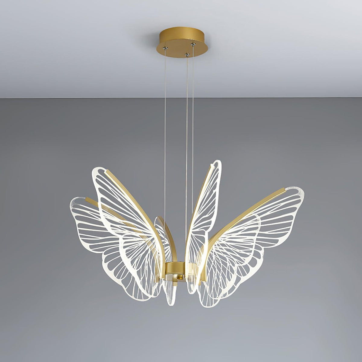 Phalaenopsis Chandelier - view 21