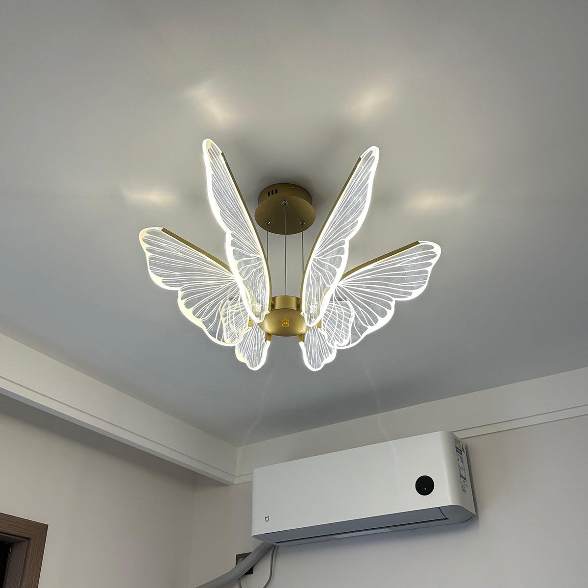 Phalaenopsis Chandelier - view 23