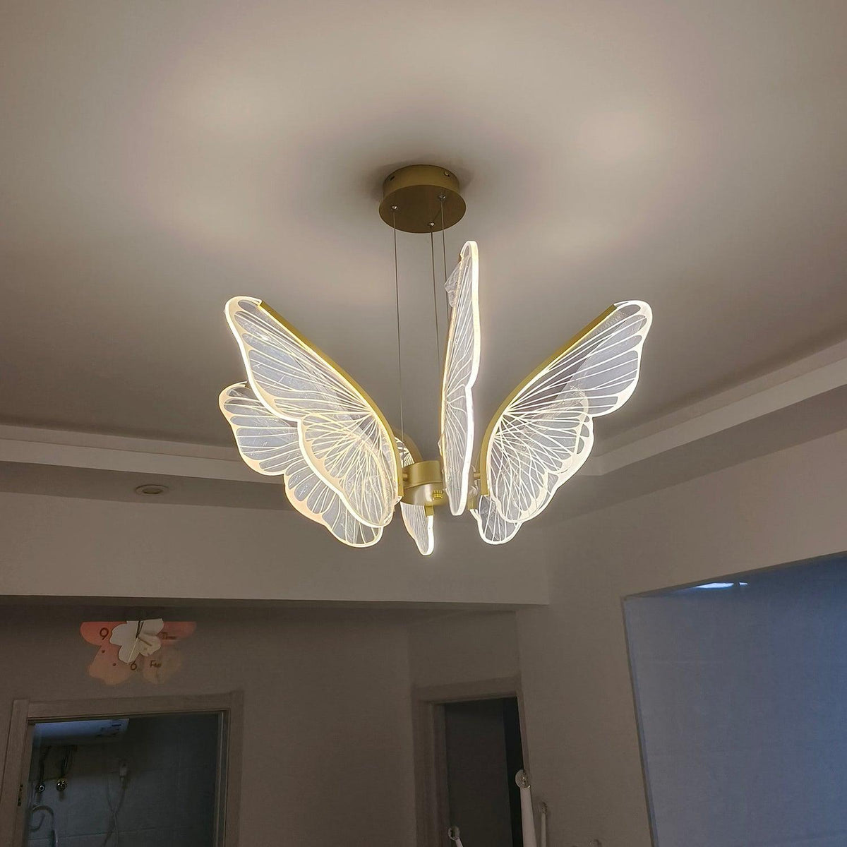 Phalaenopsis Chandelier - view 25